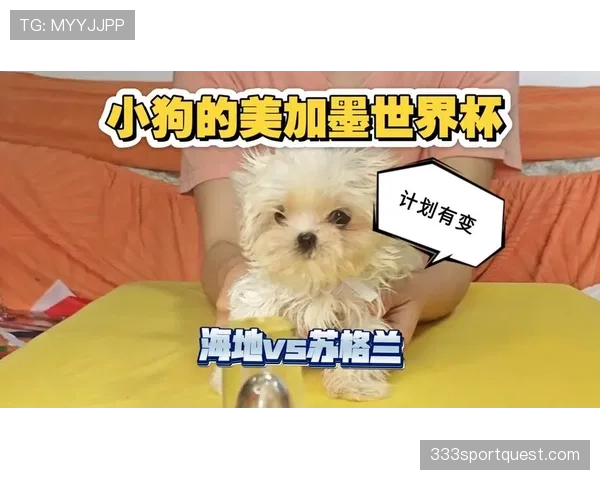 世界杯C组海地VS苏格兰比赛前瞻